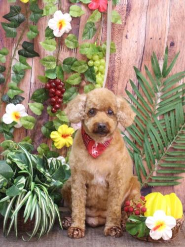 20230803美喜ちゃん